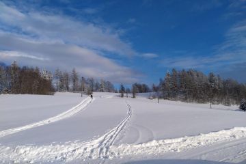 Lomnice nad Popelkou 02_04 2022  (4)