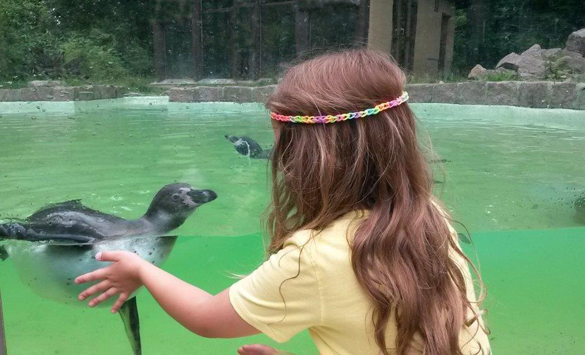 Německo – navštivte Zoo Zittau