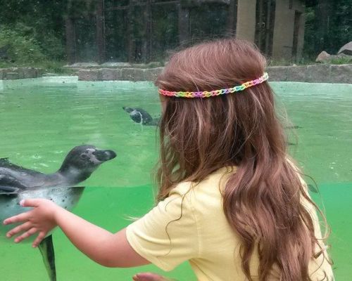 Německo – navštivte Zoo Zittau