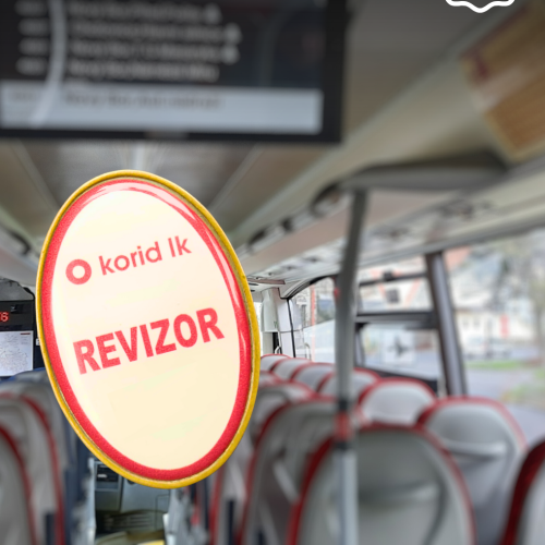 revizoři web 