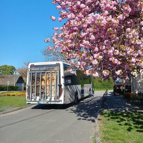 Sezóna začíná: linkou 864 víkendovými spoji s přepravou jízdních kol